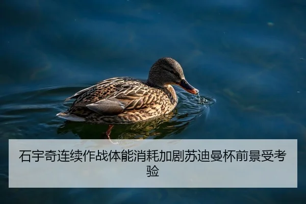 石宇奇连续作战体能消耗加剧苏迪曼杯前景受考验